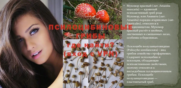 мескалин Новодвинск